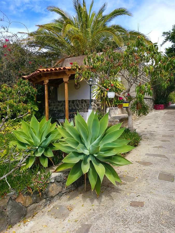 Finca el Castillo Buenavista Del Norte Esterno foto